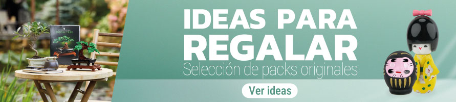 Ideas regalo